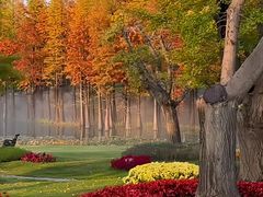 -南京银杏湖乐园