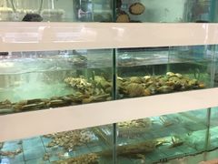 -拾贝海鲜馆（海鲜粤菜）(花果园店)