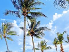 -玫瑰海岸文化旅游度假区