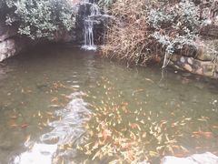 -杭州第一世界大酒店·云曼温泉
