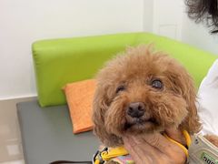 -北京观赏动物医院·24小时大型综合·猫专科·异宠专科