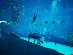 -上海海昌海洋公园-停车场
