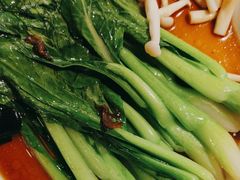 -新白鹿餐厅(百联中环店)