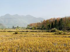 -塔川景区