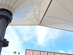 -移动谜城·大笨象密室逃脱(五棵松店)