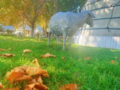 -九十九顶毡房(阜石路店)