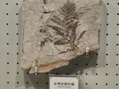 -辽宁古生物博物馆