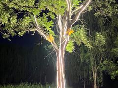 -三里河公园