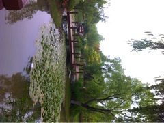 iphone_upload_pic-陈行公园