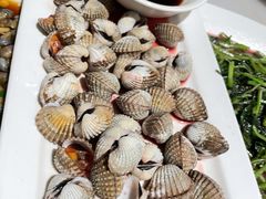 血蛤-华盛丰温州大排档(东三环南路店)