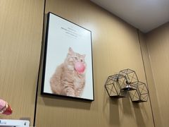 -半岛宠物医院24小时(西派城店)