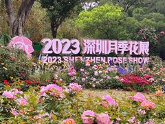 -人民公园(罗湖区)