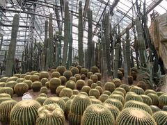 -南山植物园