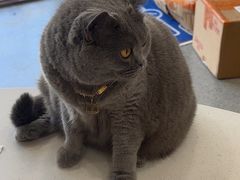 -宠颐生动物医院·全科·骨外科中心·利宠康分院