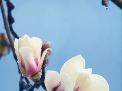 -西湖文化广场