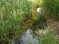 -碓臼峪自然风景区