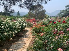 -国家植物园南园