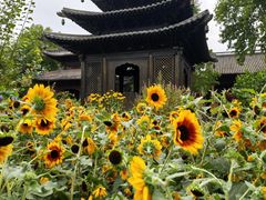 -钱王祠