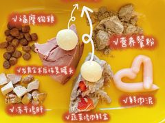 -美联众合动物医院·24h京西诊疗中心