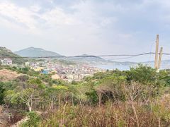 -枸杞岛