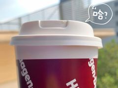 -哈根达斯(大悦城店)