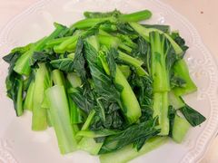 盐水菜心-沙龙酒家