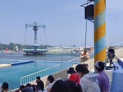 -秦皇岛乐岛海洋王国