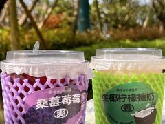 -书亦烧仙草(万家丽一店)
