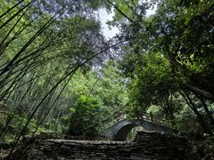 -潜山国家森林公园