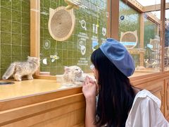 -帕帕拉兹宠物(亚洲旗舰店)