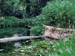 -成都市活水公园