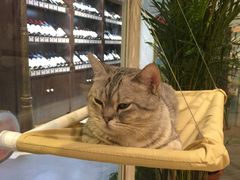 -小时光咖啡馆(开森度假森林店)