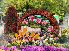 -上海共青森林公园