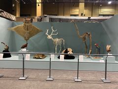 -国家自然博物馆