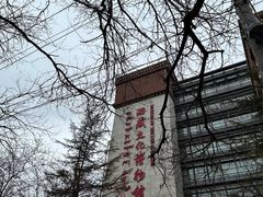 -西藏文化博物馆