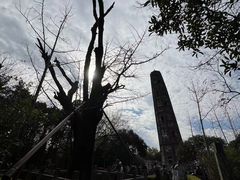 -上海佘山国家森林公园天马山园