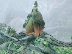 -贵州森林野生动物园