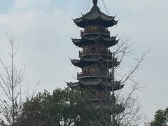 -龙华素斋(龙华路店)