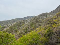 -阳台山自然风景区