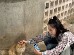 -自由生长植物工作室(深港花卉中心店)