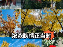 -楚望台遗址公园