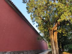 -北京市劳动人民文化宫(太庙)