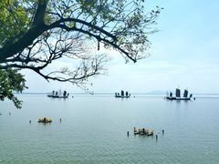 -贡湖湾湿地公园