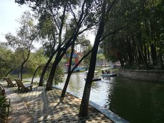 -金砂公园