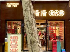 -阳阳老火锅(小南门店)