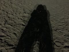 -碧海金沙