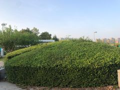 -白塘生态植物园