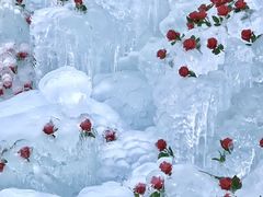 -洛阳白云山景区