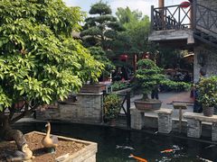 -猪肉婆私房菜(容桂总店)