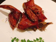 玻璃乳鸽-甄御•海鲜新青岛菜(麦岛店)